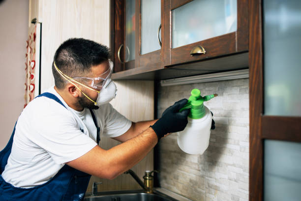 Pest Prevention Services in Chapel Hill, NC