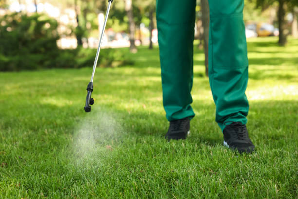 Best Exterminator Services  in Chapel Hill, NC