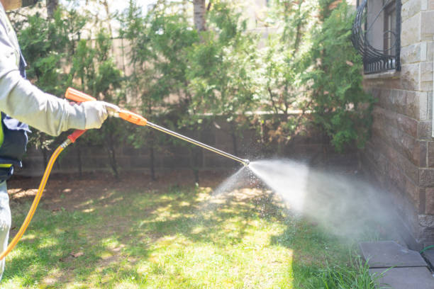 Best Local Pest Control Services  in Chapel Hill, NC