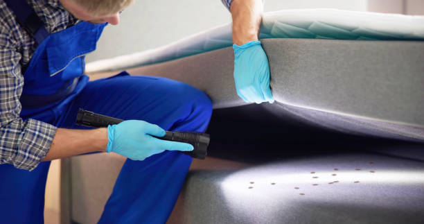 Best Cockroach Control Services  in Chapel Hill, NC