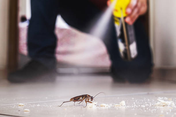 Best Best Pest Control Companies  in Chapel Hill, NC