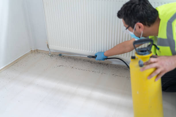 Best Affordable Pest Control Services  in Chapel Hill, NC